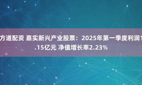 方道配资 嘉实新兴产业股票：2025年第一季度利润1.15亿元 净值增长率2.23%