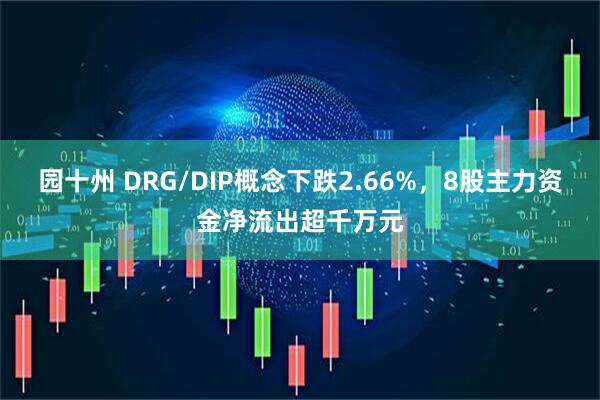 园十州 DRG/DIP概念下跌2.66%，8股主力资金净流出超千万元